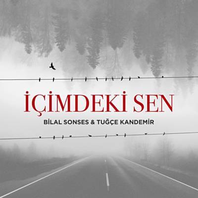 İçimdeki Sen Download free