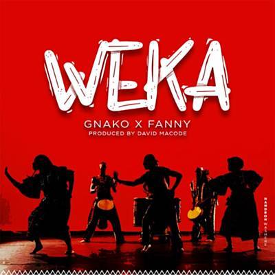 Weka Download free