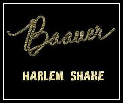 Harlem Shake Download free