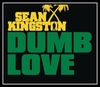 Dumb Love Ringtone Download Free