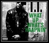 What Up, What's Haapnin' Ringtone Download Free