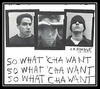 So What'cha Want Ringtone Download Free