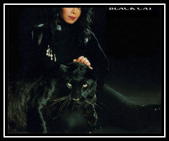 Black Cat Download free