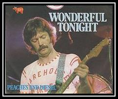 Wonderful Tonight Download free