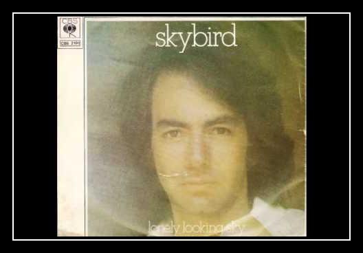 Skybird Download free