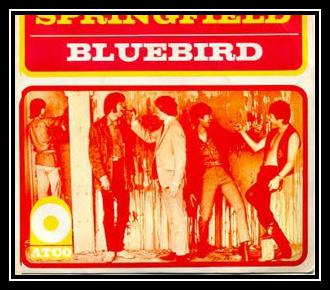 Bluebird Download free