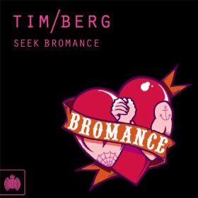 Seek Bromance (Avicii's Vocal Edit) Download free