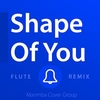 Shape Of You Ringtone Download Free