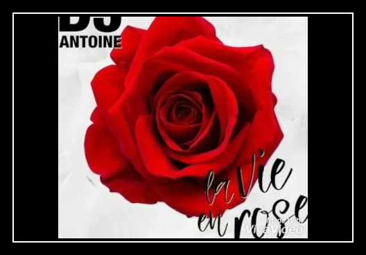 La Vie En Rose Download free