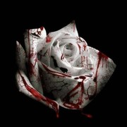 Romantic Homicide Ringtone Download Free