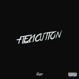 Flexicution Download free