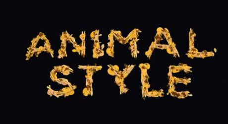 Animal Style Download free