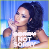 Sorry Not Sorry Ringtone Download Free