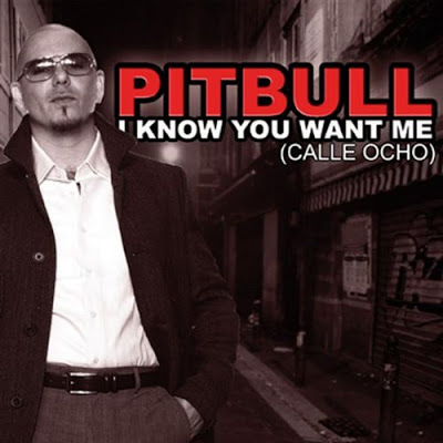 I Know You Want Me 2009 Download free