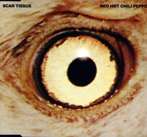 Scar Tissue Download free