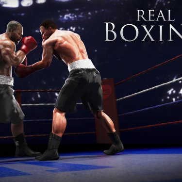 Real Boxing Download free