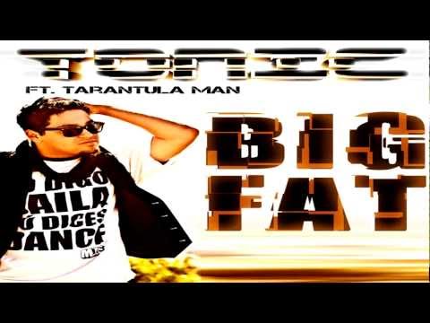 Big Fat (Radio Edit) Download free