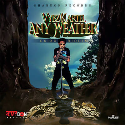 Any Weather Download free