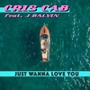 Just Wanna Love You Ringtone Download Free