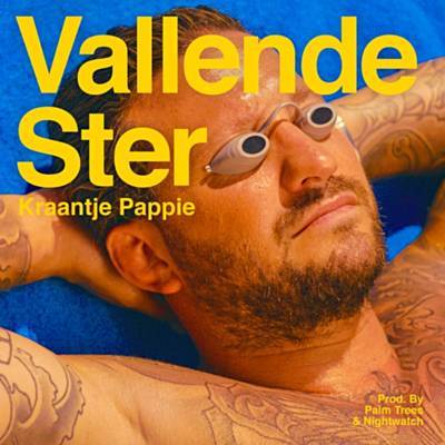 Vallende Ster Download free