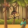 Odo Bra Ringtone Download Free