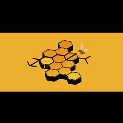 Honey Download free