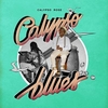 Calypso Blues Ringtone Download Free