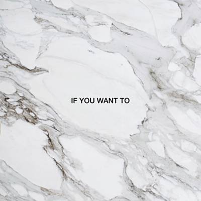 If You Want To (Remix) Download free